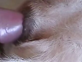Bestiality and ZOO porn video